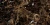 a766a505cb8db558e6298094b4fc2dfc
