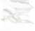 32d047d2cff766255e5436548349948a