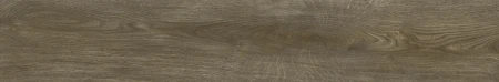 5683607c7922a4d6e5cdbf36c7508aaf
