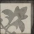 f8b788c65272cbcab69a24041a4c34d3