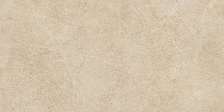 Ragno Realstone_Argent Miele PTV 30x60 - płytka imitująca beton