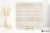 a2e43199fd0d6fe717116162d75f04a6