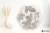 ce2e8897cceda4d33684740aa40781e6