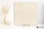 Marazzi Mystone Limestone Ivory 60x60 - płytka imitująca kamień