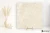 Marazzi Mystone Limestone Ivory struktura 80x80 - płytka imitująca kamień