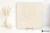 ead961cc48fd637f7073da20aef552d2