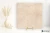 Marazzi Mystone Limestone Sand 120x120 - płytka imitująca kamień