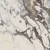4f5e1608c1ae42a29d24d49de243867c