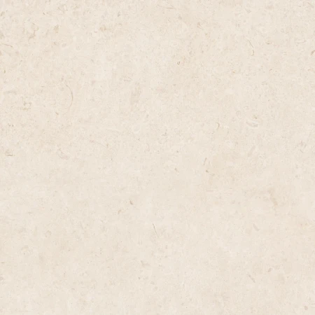 8038126febe65eb3463af038a7b910ea