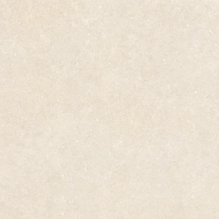 dbf2146979879576dbfb8ced12019a64