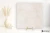 8ac091873ee5c140fff90fa3556ecaf0