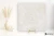 410deb7fd44b6d9f780f21df910b5092