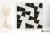 9a6264e5cf50396c335e0bc68976d158