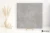 a50167b1a391a1f60d174e687566c7ae