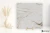 Flaviker Supreme Evo Antique White 120x120 - płytka imitująca marmur
