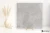 Flaviker X20 Salento Gris antyspoślizgowa 80x80 - płytka drewnopodobna