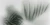 2f5ce3b17123b34a717154c1bd9d10e3