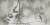 eee2e26eab38350cf4d026dbfe05c25b