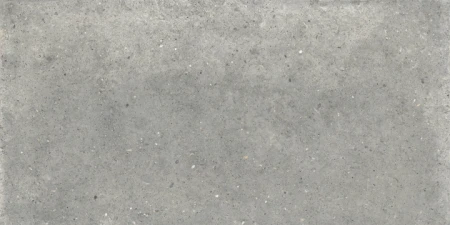 Flaviker X20 Anima Grigio antyspoślizgowa 60x120 - płytka drewnopodobna