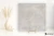 86bc380026febe07304717f62a8f8326