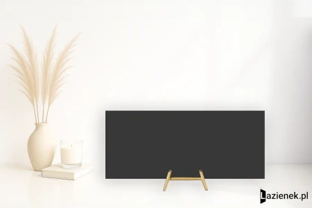 Abk Chrome Black satynowa 120x280 - płytka dekoracyjna