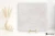 Abk Lab325 Base Pearl 120x120 - płytka imitująca beton