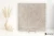 10f35933b3ed07053a9e1737e417be13
