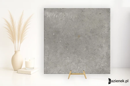 Abk Out.20 Poetry Stone Grey 80x80 - płytka imitująca kamień