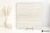 Abk Sensi Roma Ivory 120x120 - płytka imitująca marmur
