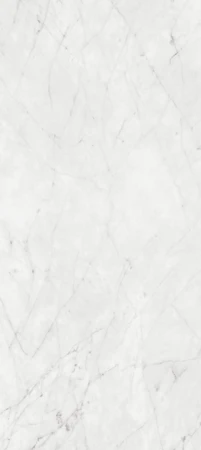 2bb8c4e514bf640ed38461cd2f6f5acf
