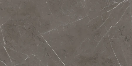 3c56cc39ab38f086b05c8fb13f30a7a7