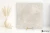 Refin Coquille Champagne antyspoślizgowa 60x60 - płytka imitująca kamień