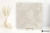 Refin Coquille Champagne 120x120 - płytka imitująca kamień