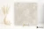 Refin Coquille Champagne 80x80 - płytka imitująca kamień