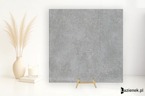 Przejdź do produktu Refin Mold Cinder matowa 120x120 cm gr. 9 mm - płytka rektyfikowana/MY46