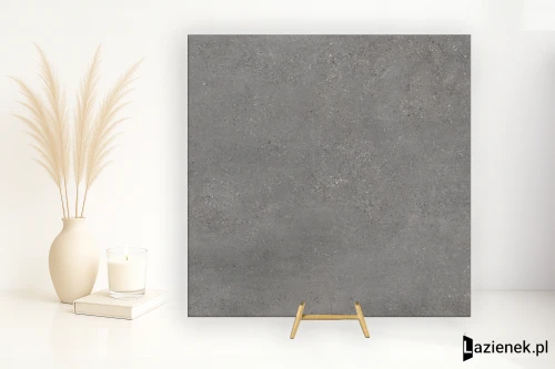 Przejdź do produktu Refin Mold Iron matowa 120x120 cm gr. 9 mm - płytka rektyfikowana/MY48