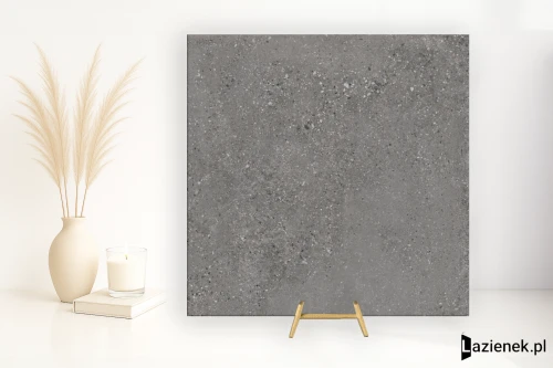 Przejdź do produktu Refin Mold Iron matowa 60x60 cm gr. 9 mm - płytka rektyfikowana/MX64