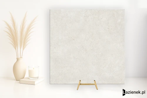 Przejdź do produktu Refin Mold Mist matowa 120x120 cm gr. 9 mm - płytka rektyfikowana/MY50