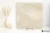 Refin Prestigio Onyx Beige satyna 60x60 - płytka imitująca marmur