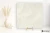 Refin Prestigio Onyx White satyna 60x60 - płytka imitująca marmur
