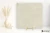 Refin Sublime Beige 120x120 - płytka imitująca kamień