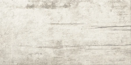 Refin Plant Powder 30x60 - płytka imitująca kamień