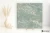 Casalgrande Padana Alabastri Green strukturalna 120x120 - płytka imitująca marmur