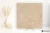 Casalgrande Padana Amazzonia Dragon Beige połaczenie - 60x60 - płytka imitująca kamień