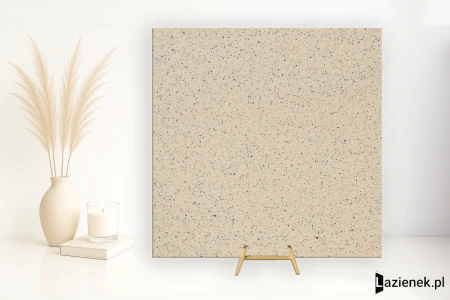 Casalgrande Padana Granito 1 Everest satynowa 20x20 - płytka nierektyfikowana - płytka imitująca lastryko