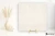 Casalgrande Padana Marmoker Bianco Vietnam 0 90x90 - płytka imitująca marmur