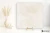 Casalgrande Padana Opus Opus Beige połaczenie - 20x20 - płytka imitująca kamień