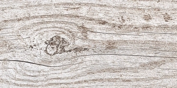Casalgrande Padana Country Wood Bianco połaczenie - 60x120 - płytka drewnopodobna