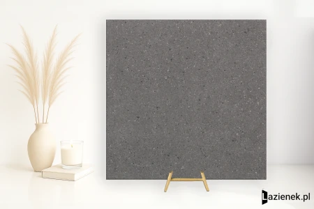 Casalgrande Padana Stonetech Black strukturalna 60x60 - płytka imitująca kamień