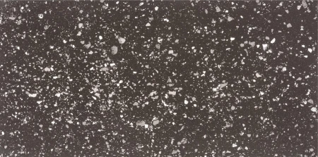 Casalgrande Padana Terrazzotech Nero strukturalna 30x60 - płytka imitująca lastryko